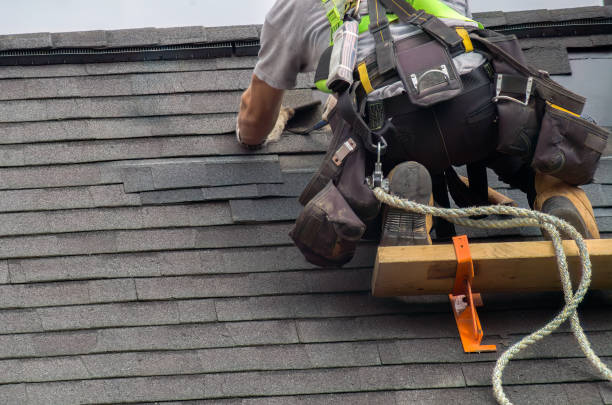 Best Roof Gutter Cleaning  in Marshall, VA